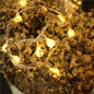 Warm white LED USB remote control string lights with small ball bulbs decorating dried flowers for Christmas ambiance